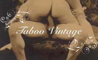 Lésbicas Vintage Foram Para O Quarto Para Se Divertir Com Brinquedos Sexuais No Local Bem Conhecido