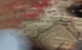Vídeo De Mulher Tomando Banho Nua